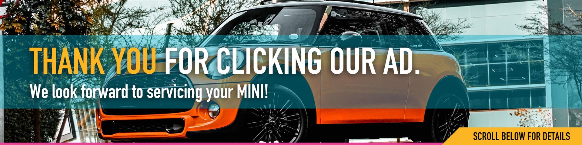 MINI Repair & Service Special - Car Tender